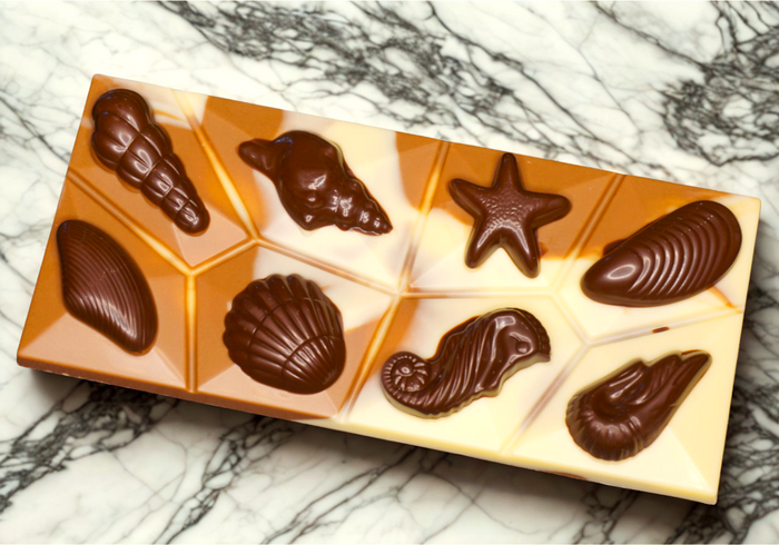 Schokoladentafel – Meeresmotive